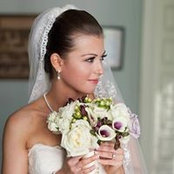 Diana Burkholder's photo