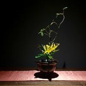 Foto di 陳曉聰