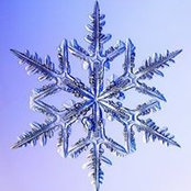 Michele Peotta's photo