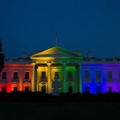 Michele Melson's photo