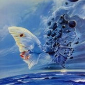 Nikkii Mccombie's photo