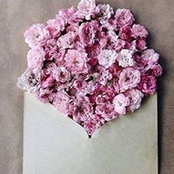 Photo de Alyaa Yasser