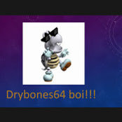 Drybones 64 bois foto