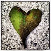 Meg James's photo