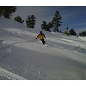 Steve Kanty's photo