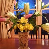 Theresa Whelan's photo
