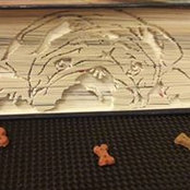 Pia Noffke's photo