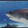 bigsur