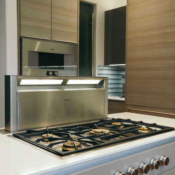 Poggenpohl Kitchen in Montrose Townhome