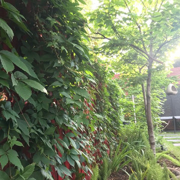 Der Garten