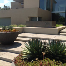 Front Landscape
