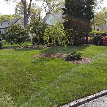 PAVER PATIO, SOD LAWN, MULCHING, PLANTING