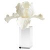 Orchid Sculpture, White, Crysta, Resin, 8.5"W (10559 MGL8Z)