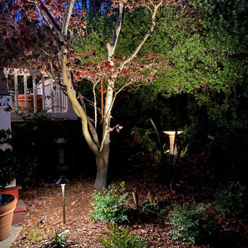 Berkley Hills lighting project