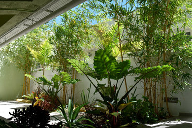 Carport - tropical attached four-car carport idea in Miami