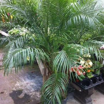 Landscape Supplies