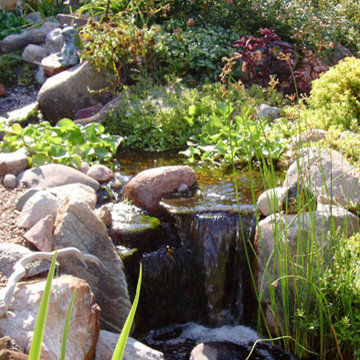 Waterfalls and Streams