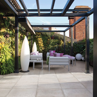 Contemporary Terrace