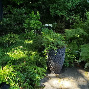 Mercer Island Lush & Green