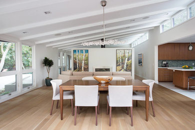 Example of a mid-century modern dining room design in Other