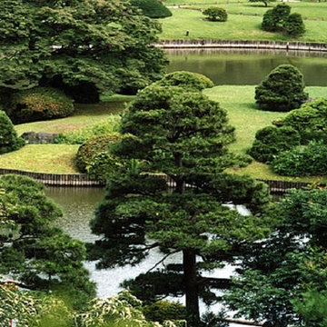 Landscape & Garden Design