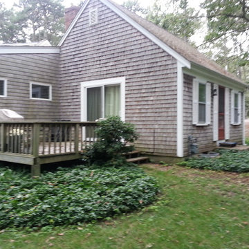 Complete yard renovation