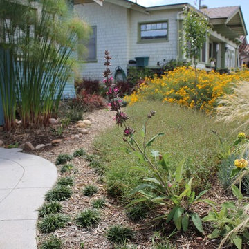 Water Wise Craftsman Home Landscaping