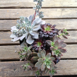 Container Design - Indoor Pots And Planters