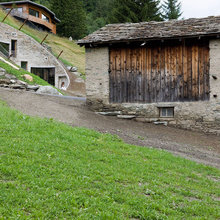 koitangito meadows