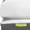 Quilted Deluxe 10/90 Blend Feather Bed, Queen