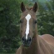 Janie Elson's photo