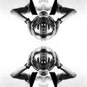 Martyn Moutinho's photo