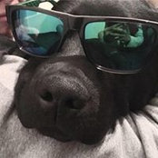 Foto di Anda Andrei