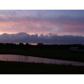 Shelley Bohn's photo