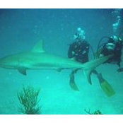 Brenda Herrmann's photo