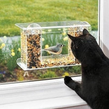 Cat Friendly