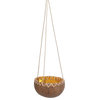 Novica Handmade, The Rough Coconut Shell Hanging Planter