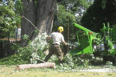 Tree Clean Up Safely with Chipper