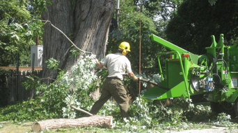 Tree Clean Up Safely with Chipper