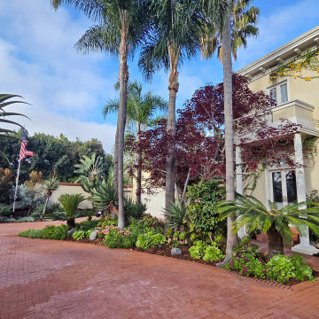 The Full Picture — Copper Bush, Cat's Claw Vine, and Coronado Charm