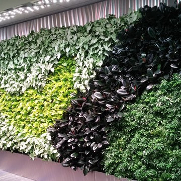 Vertical Gardens