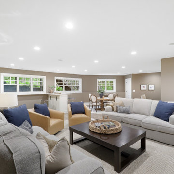 Excelsior - lower level remodel