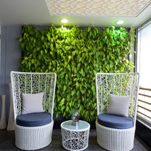 Living Wall