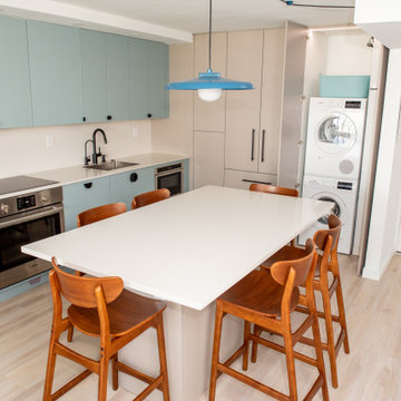 Contemporary Kitchen Remodel