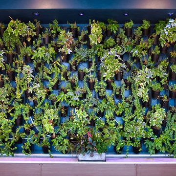 Living Wall - Fischer Commercial Flooring
