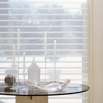 Silhouette Windows Shadings