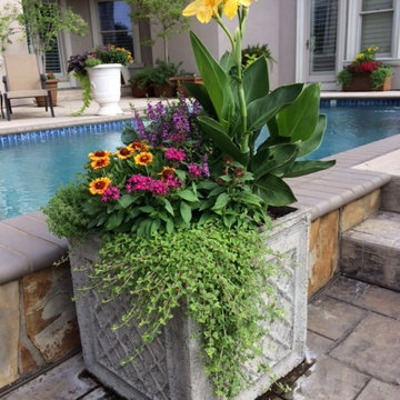 Container Gardening