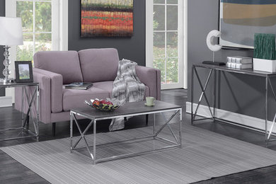 Trendy living room photo in Chicago