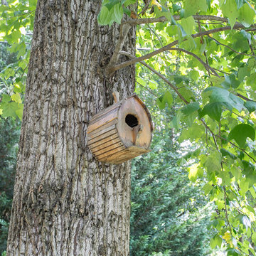 Manakin Farms