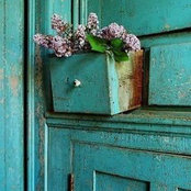Zinaida Dvalishvili's photo